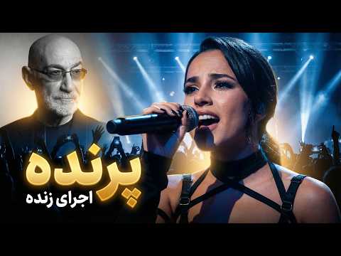 پرنده | اجرای متفاوت و جذاب | کنسرت